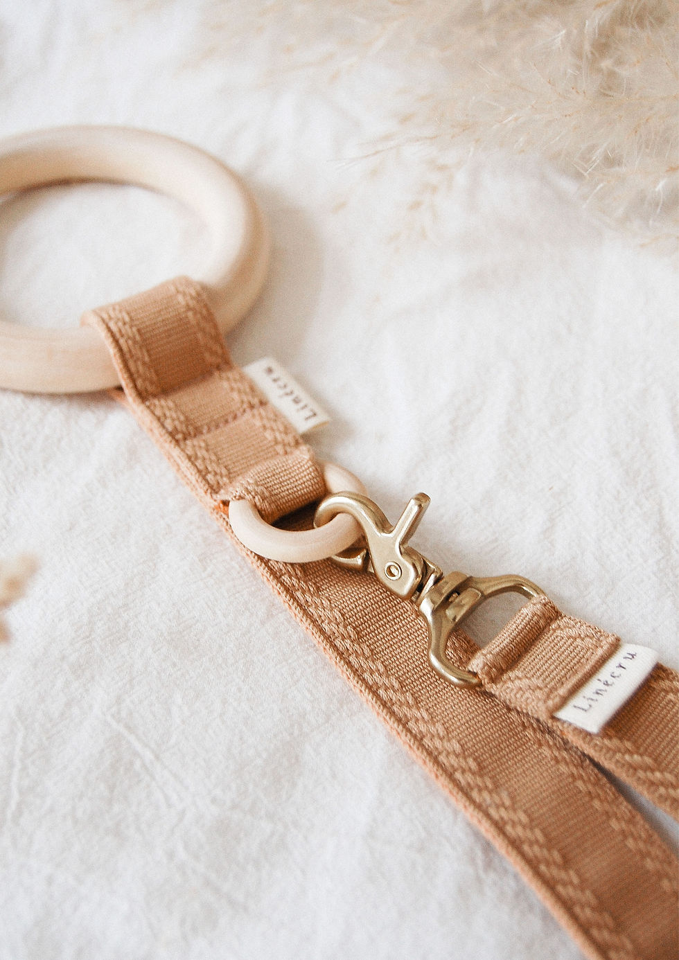 Thumbnail: FJOL Multipurpose Leash (Isabella)