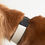 Thumbnail: BREIT Collar