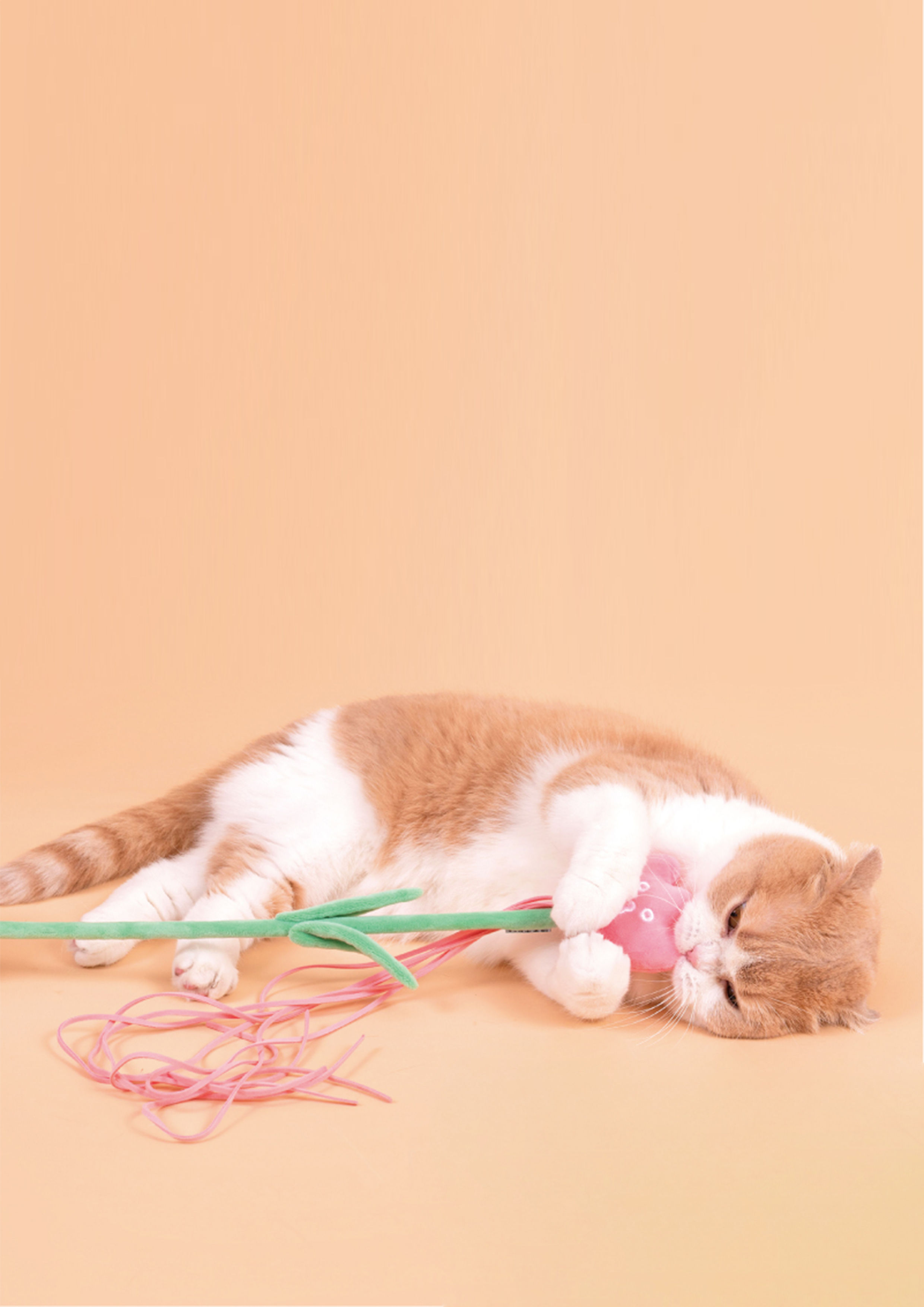 Tulip Cat Teaser with Catnip