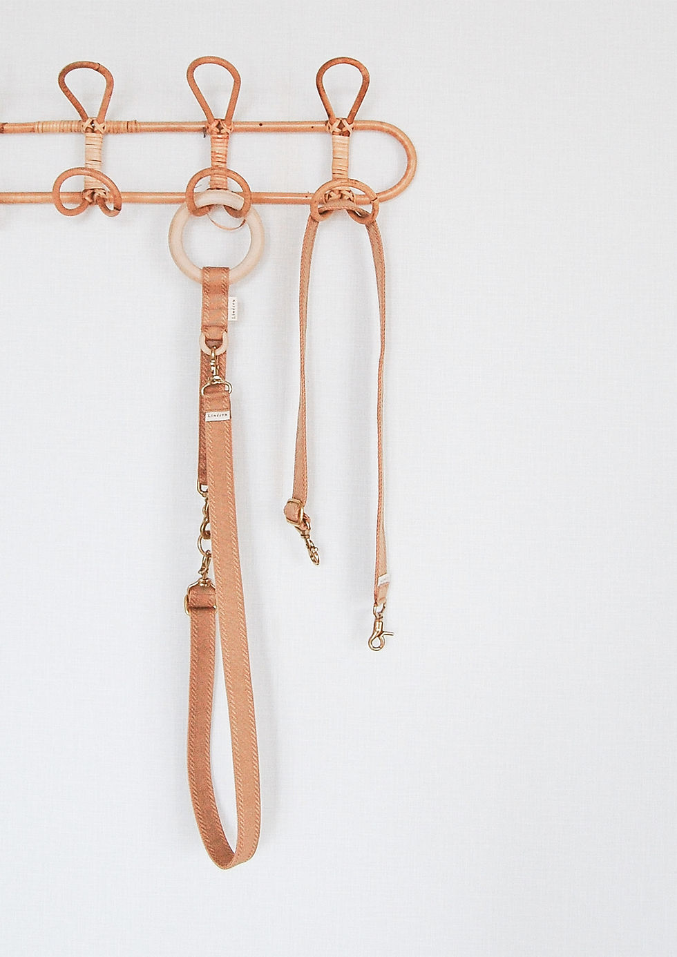 Thumbnail: FJOL Multipurpose Leash (Isabella)