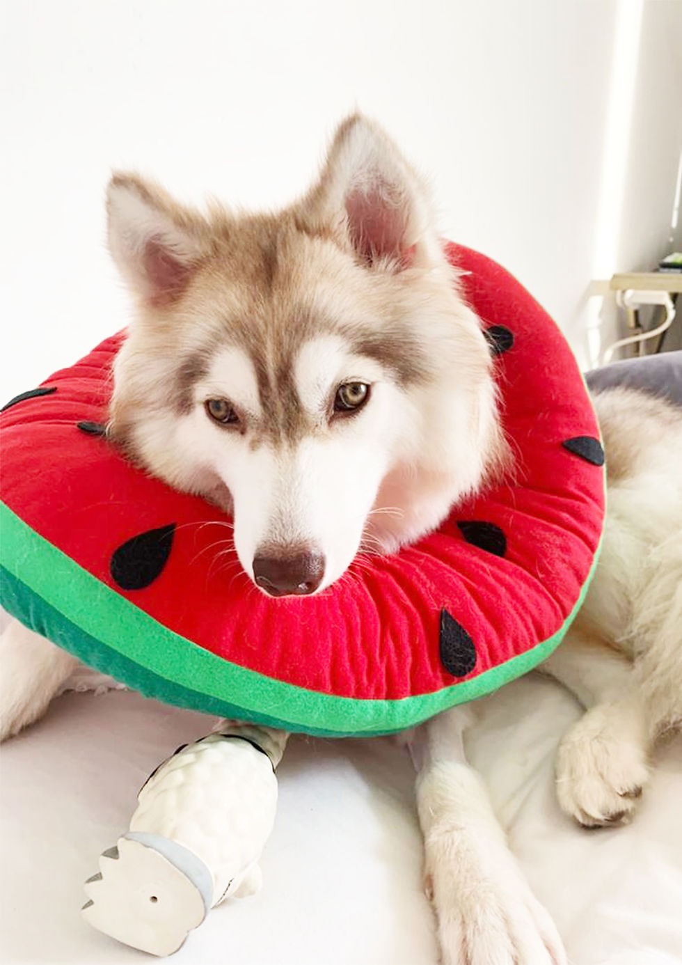 Thumbnail: Watermelon Cone