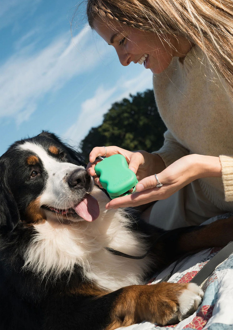 Thumbnail: Silicone Dog Treat Dispenser (Springer Green)