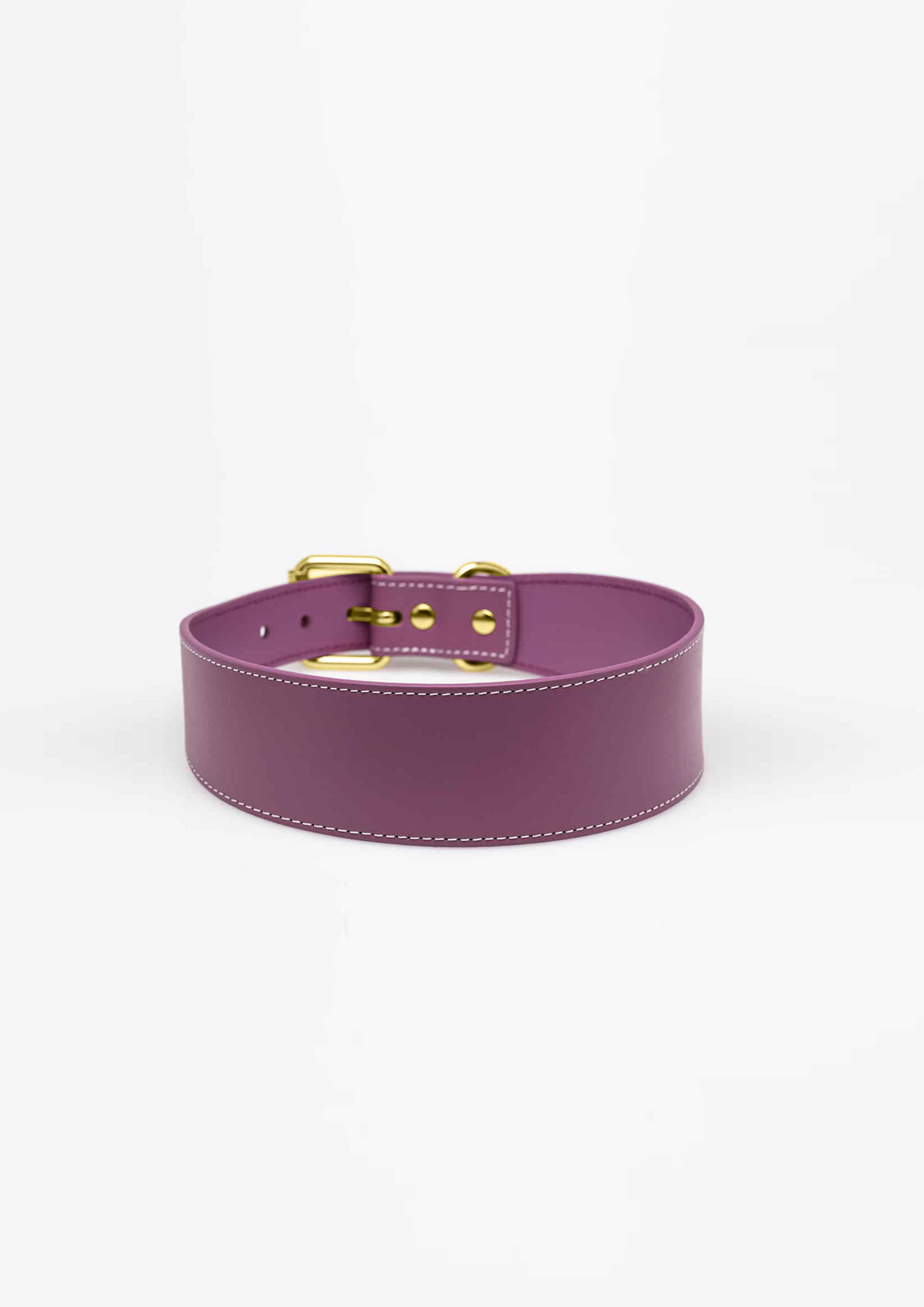 Purple Wide Leather Collar