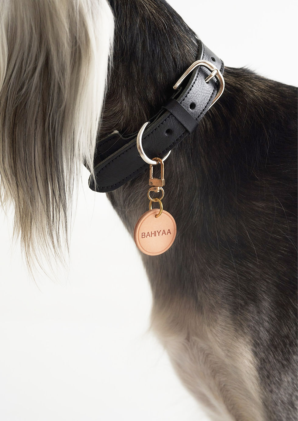 Thumbnail: BREIT Collar