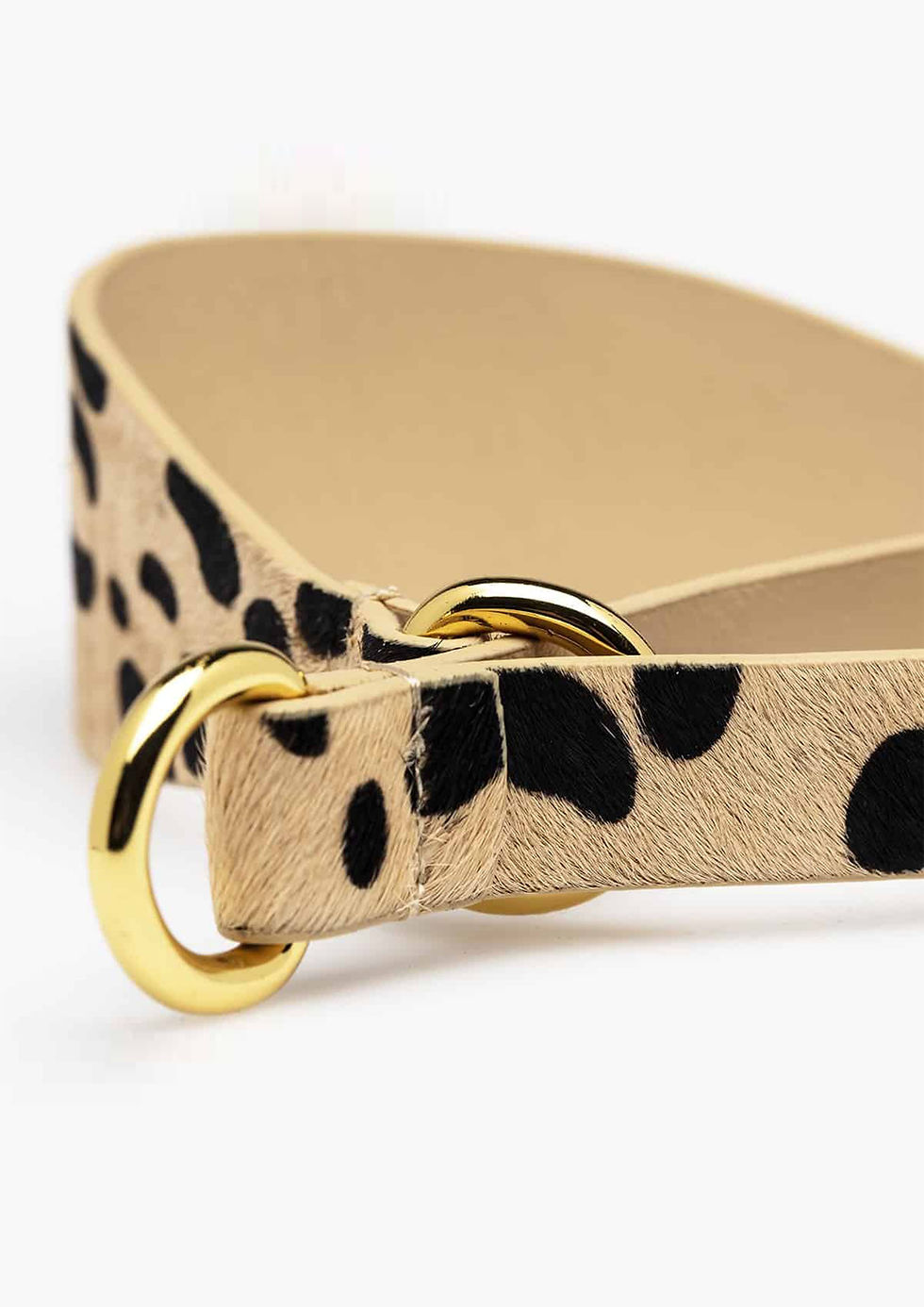 Thumbnail: Leopard Leather Martingale