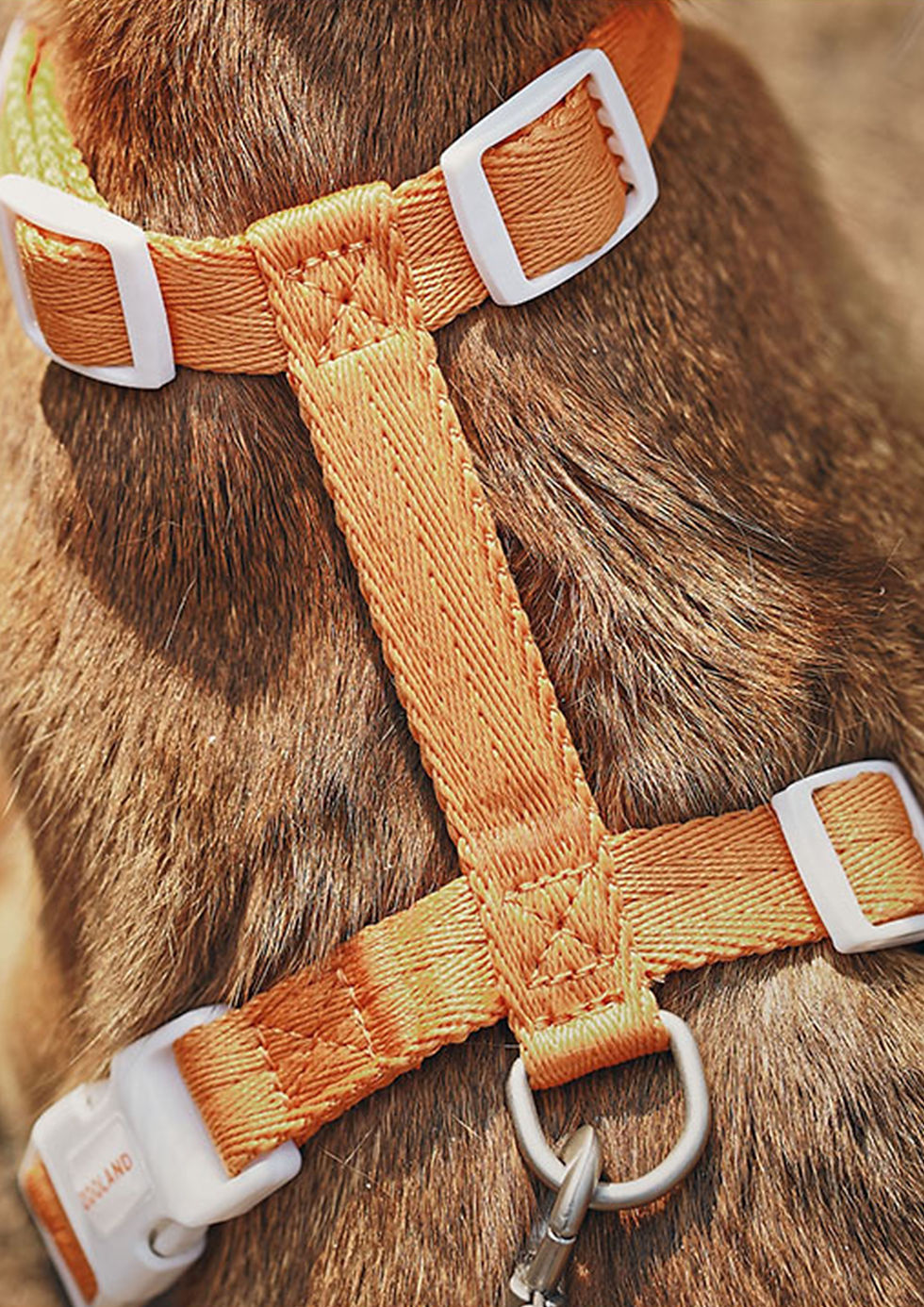 Thumbnail: Zooland Harness & Leash Set (Orange)