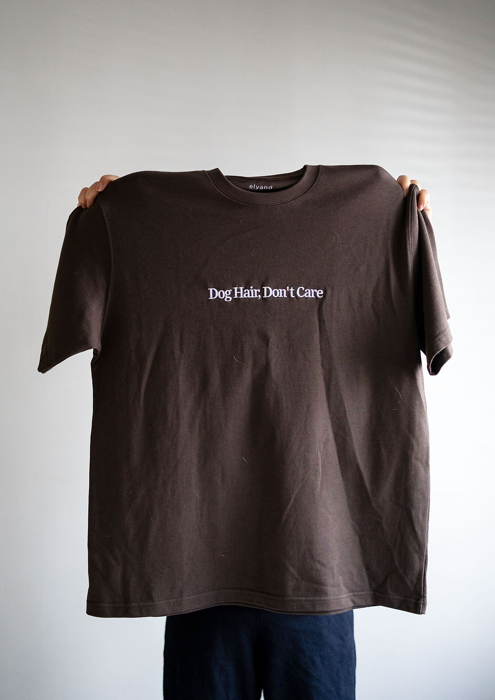 Dog Hair, Don't Care Tee (Brown)