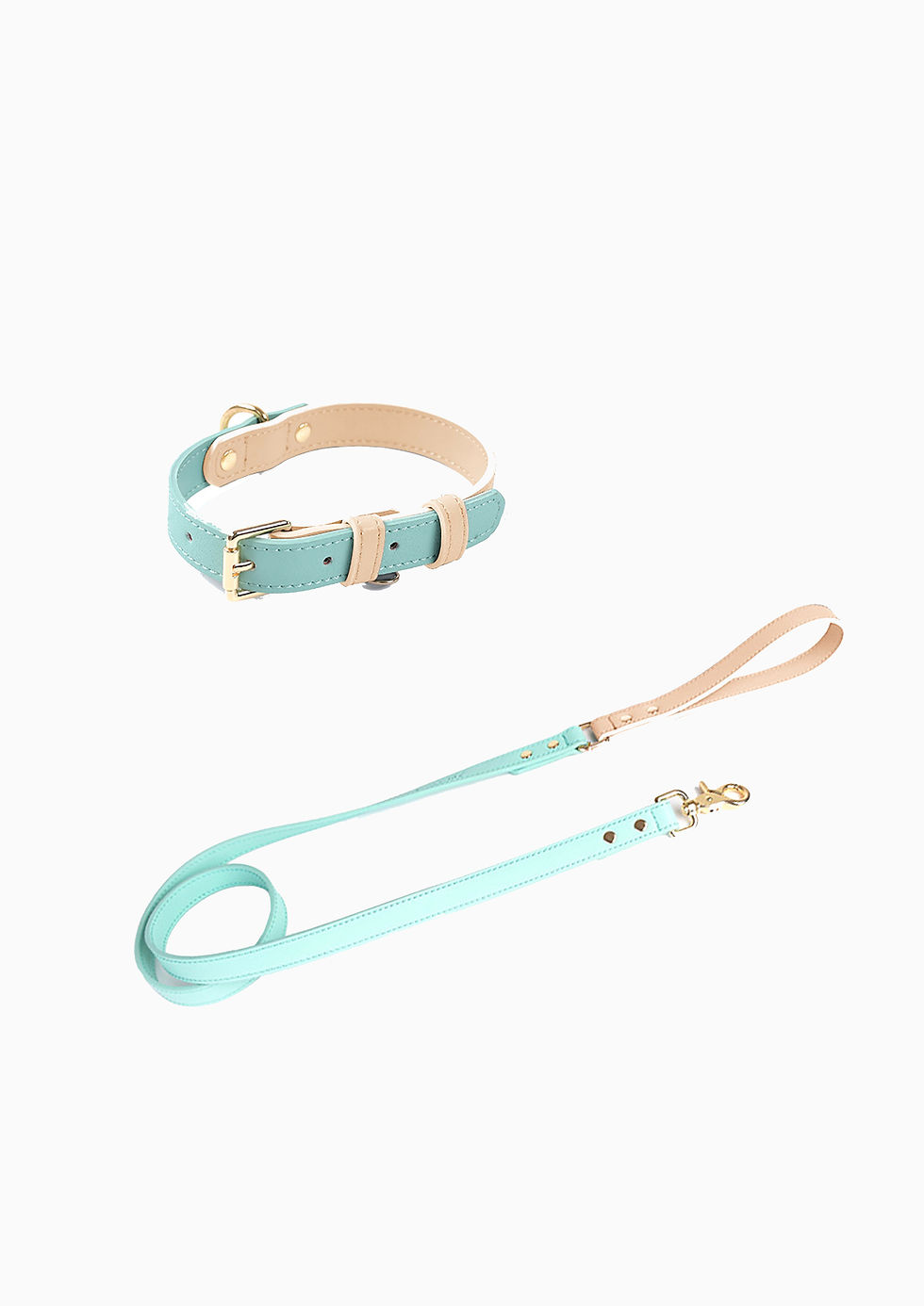 CURIO Collar & Leash Set (Mint)