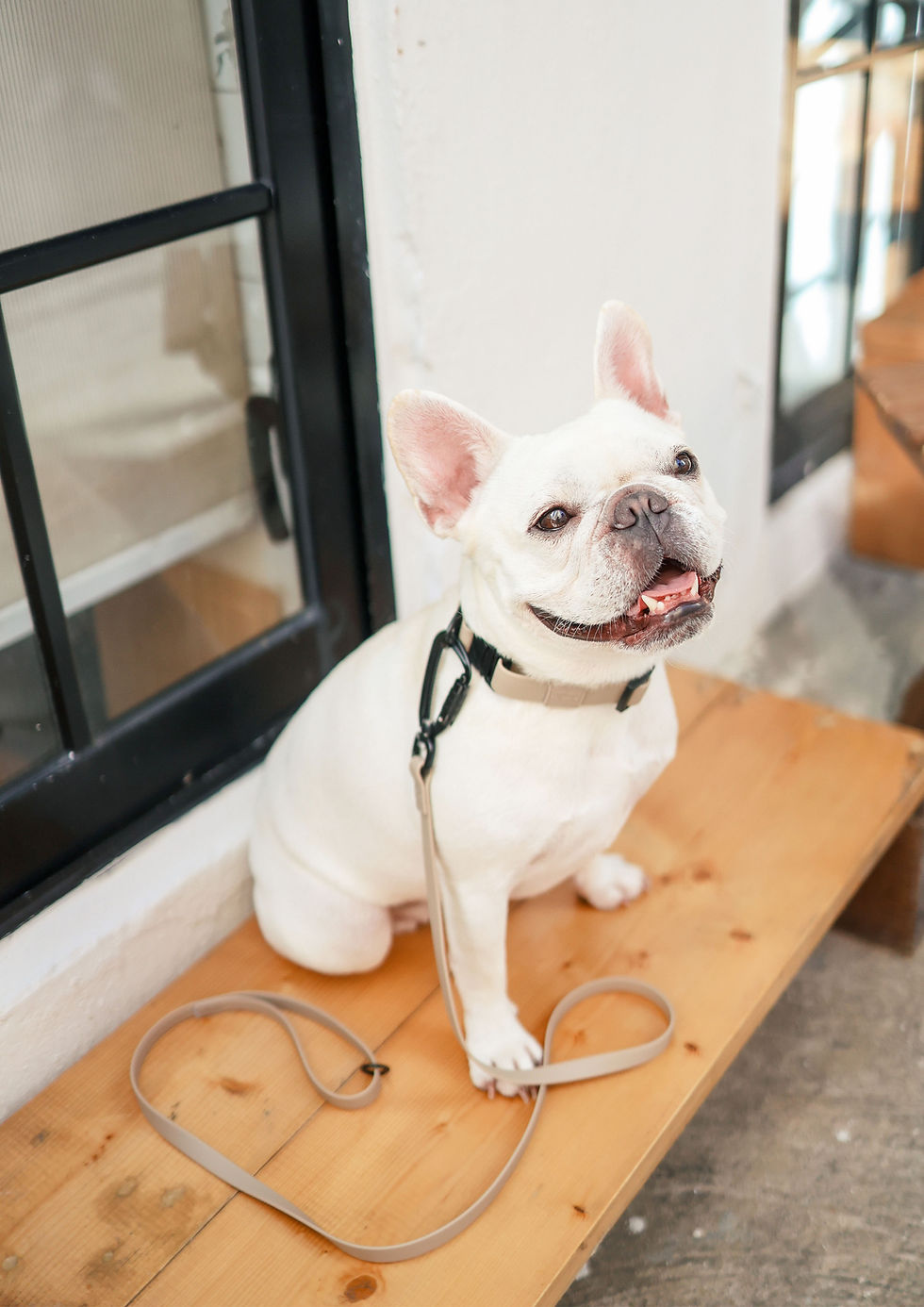 Thumbnail: APEX Ultralight + Skinny Leash