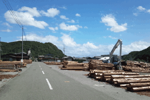 佐名伝遺跡の現状.gif