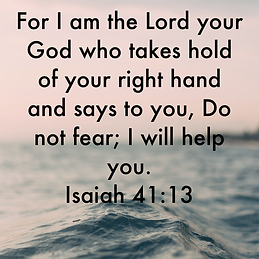 save-image - Copy (53).PNG