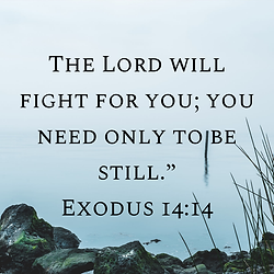 save-image - Copy (57).PNG