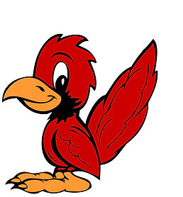 bird.jpg