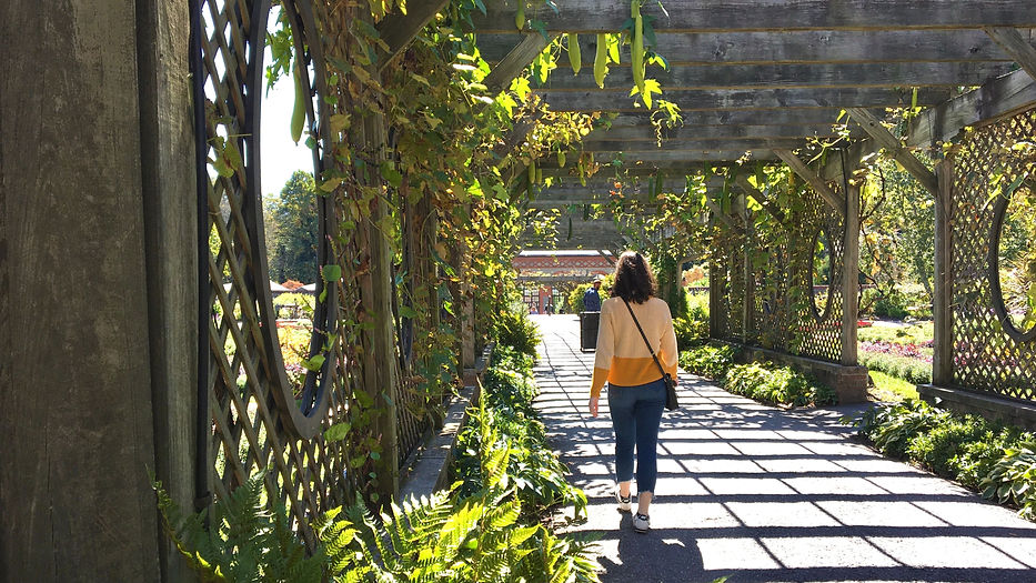erin-doering-UkLFovYKCCA-unsplash-min.jpg