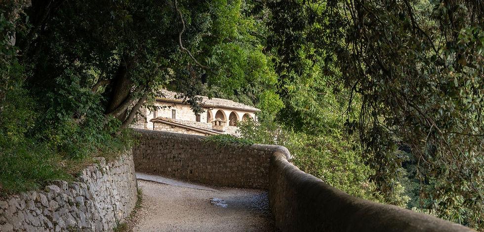 Assisi-Eremo-delle-carceri-itinerario-Visit-Assisi-portale-turistico-1_edited.jpg