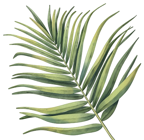 frond_544x572.png