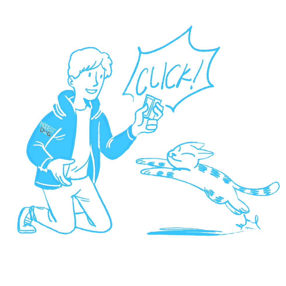 ESA Certificate for emotional support cats in the United States with international validity issued by Modest Dog US