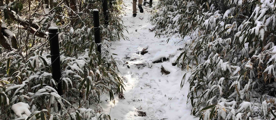 六甲山散歩