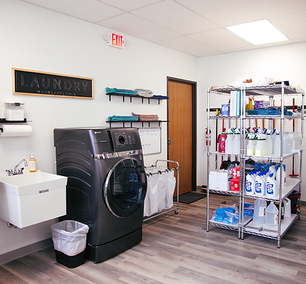 wagners-cleaning-novi-michigan-3036.png