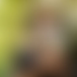 Como se beneficiar da música durante a pandemia?