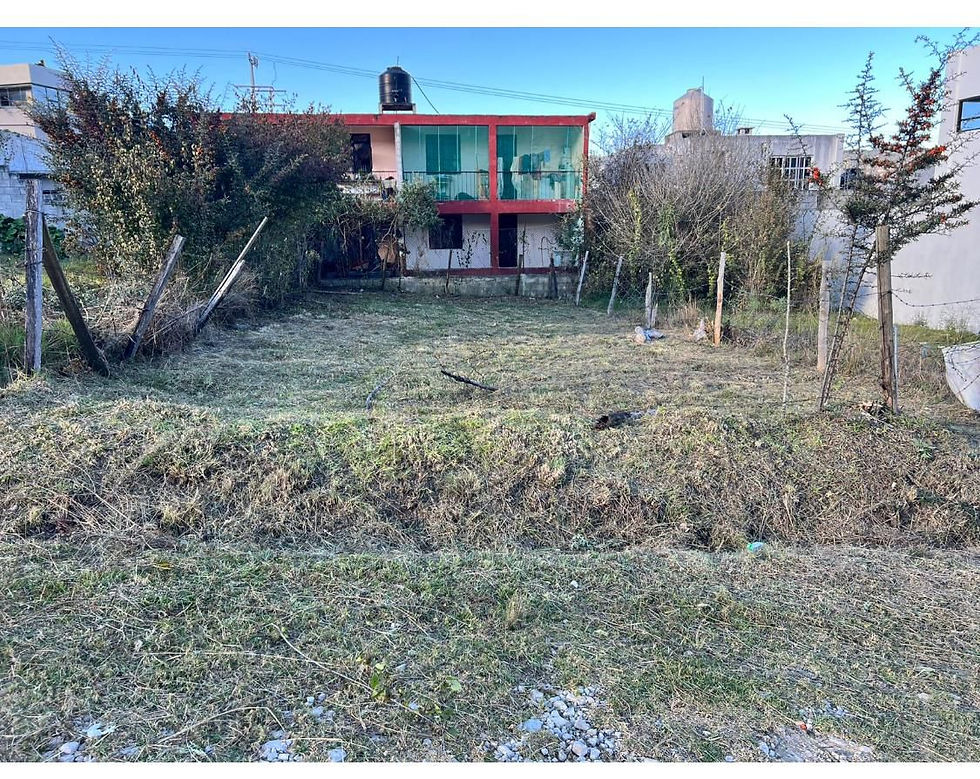 WhatsApp Image 2025-10-06 at 3.57.03 PM