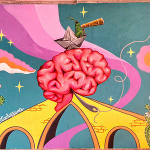 🫀CEREBRO DE SALTAMONTES🌎