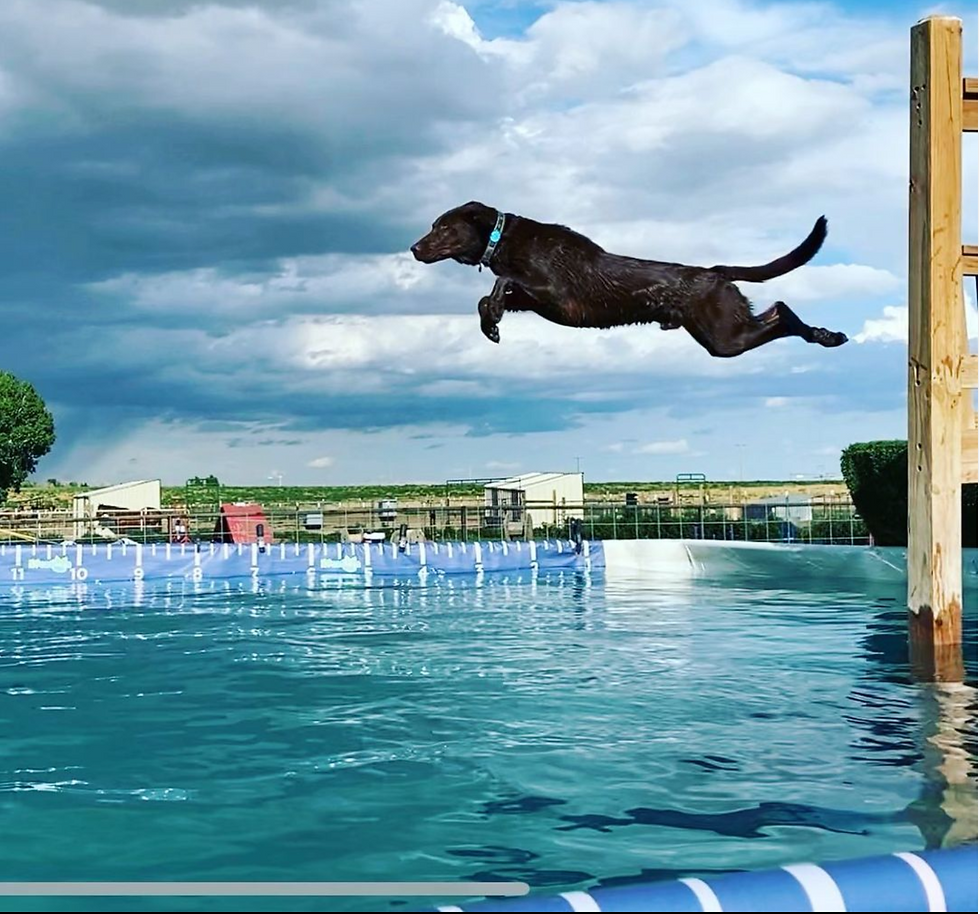 Screen Shot 2023-02-21 at 10.48.12 AM.png