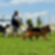 att.74_Jcp1edvADGOS5nxusXjpohcuSJuo9bNd9NGVS3y8.JPG