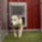 image0 (1).jpeg
