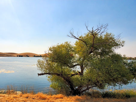 Creating Your Great Camping Adventure