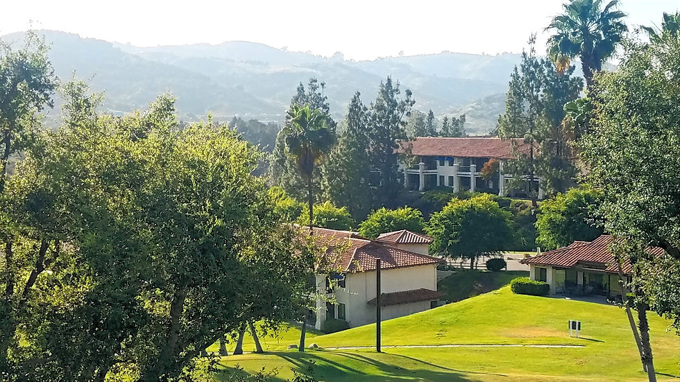 looking down at lushes green grass on a resort golf course