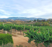 Temecula Valley