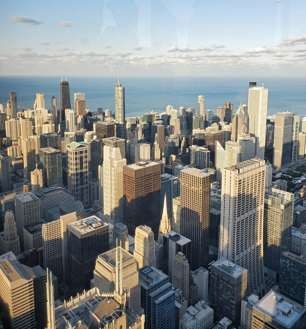 A Skyline View of Chicago from the Skydeck