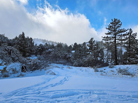 Family Fun Activities in Big Bear - Snow Edition