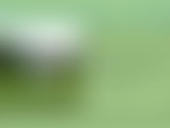 Mange påmeldte til Høstturneringen