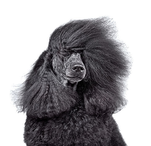 iStock-1377867397.jpg