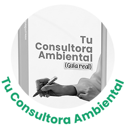 Consultora Ambiental.png