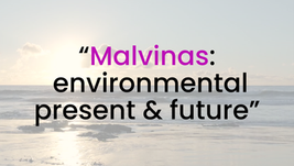 Thinking about the Malvinas also means thinking about their ecosystems.