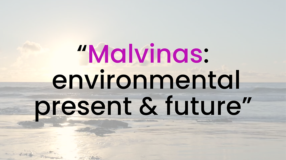 Thinking about the Malvinas also means thinking about their ecosystems.