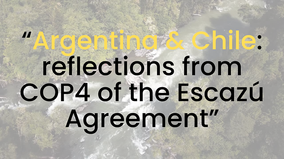 COP4 of the Escazu