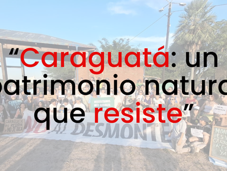 Parque caraguatá resiste