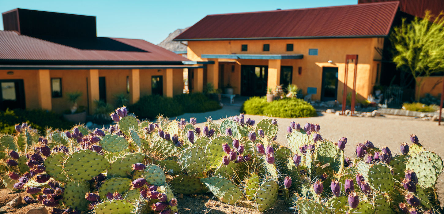 Sacred Sands desert accommodations set within native Joshua Tree landscape