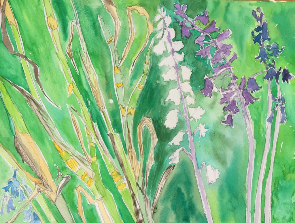 Bluebell's Watercolour