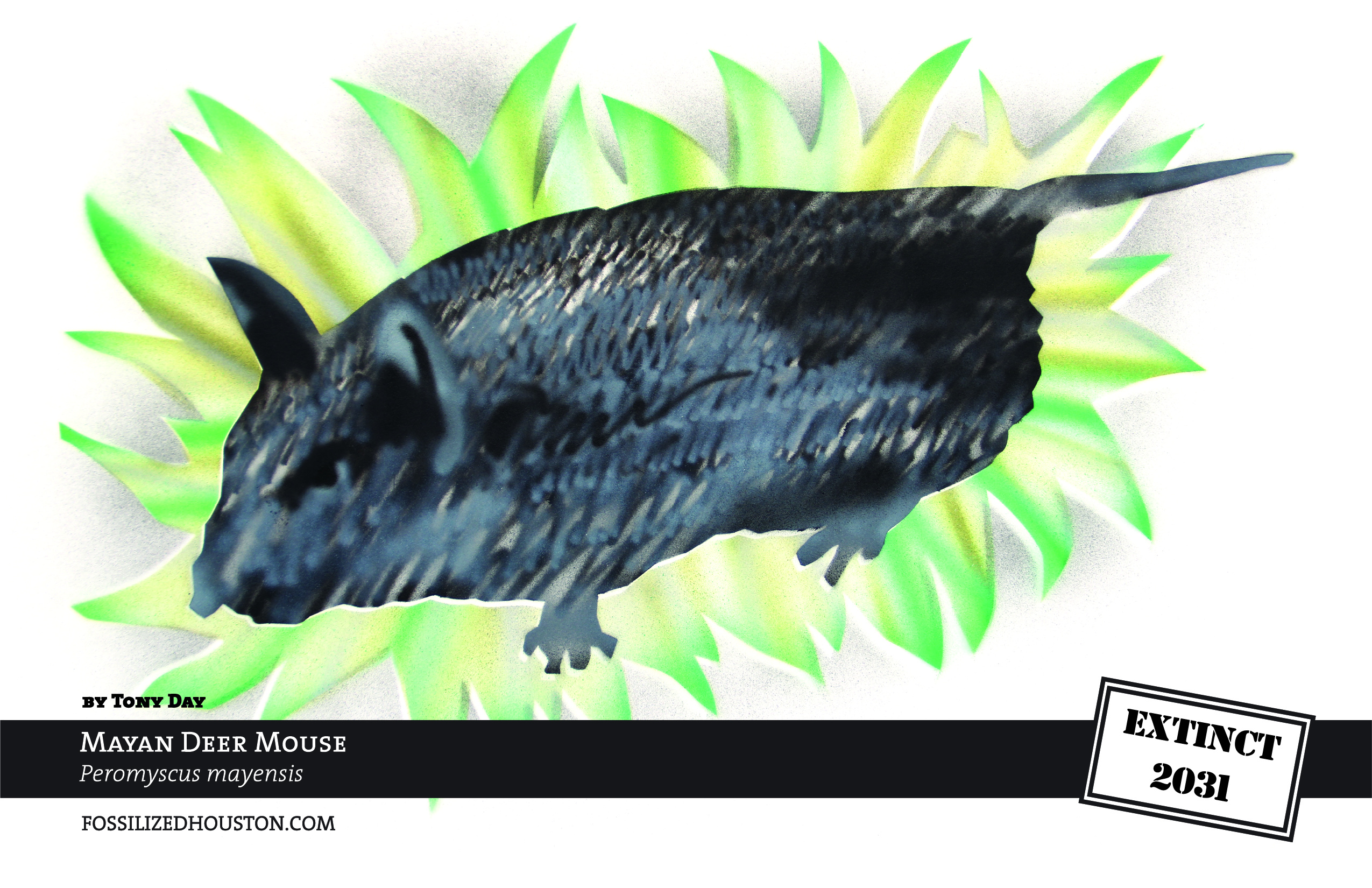 11x17.04 Mouse Day-01