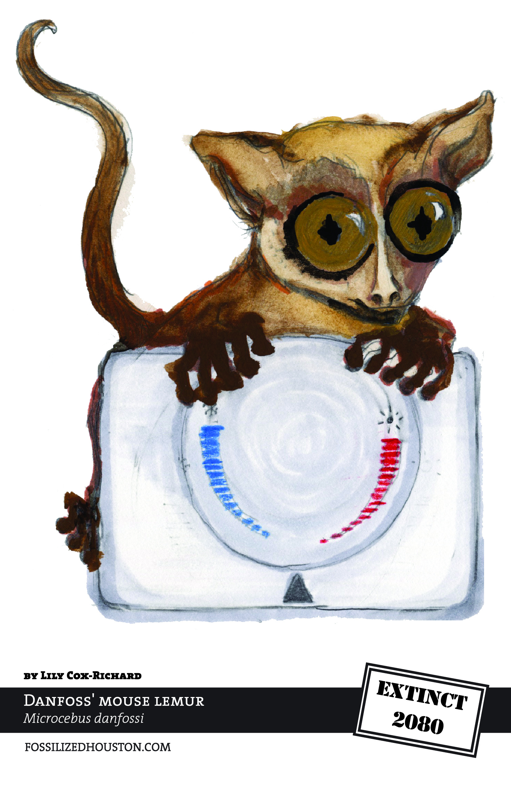 Danfoss' Mouse Lemur