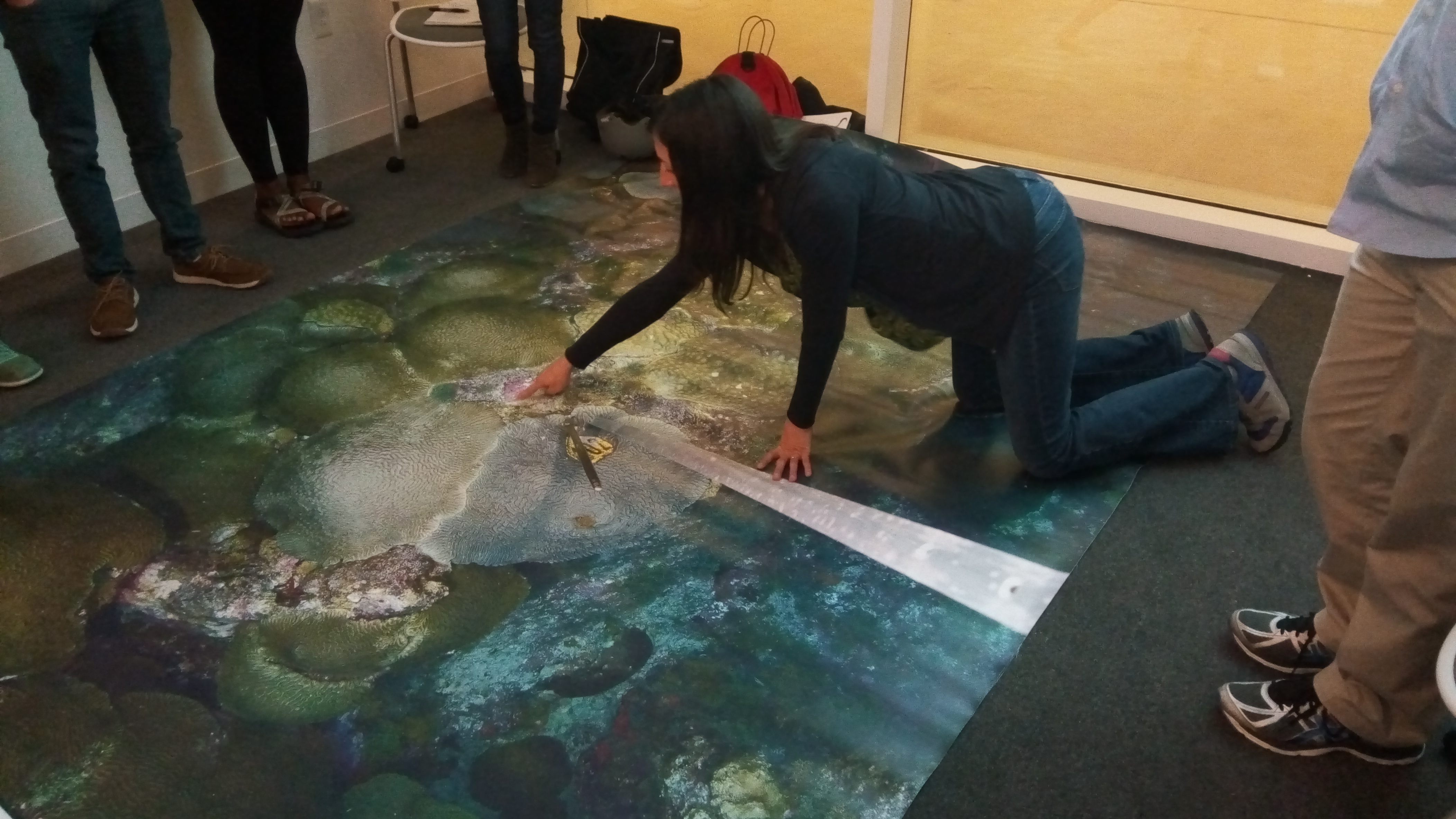 Learning with our coral banners!