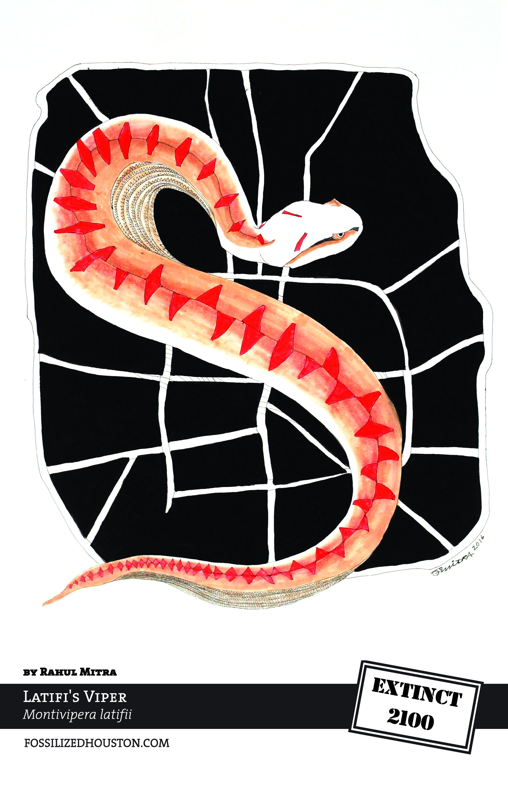 Latifi's Viper