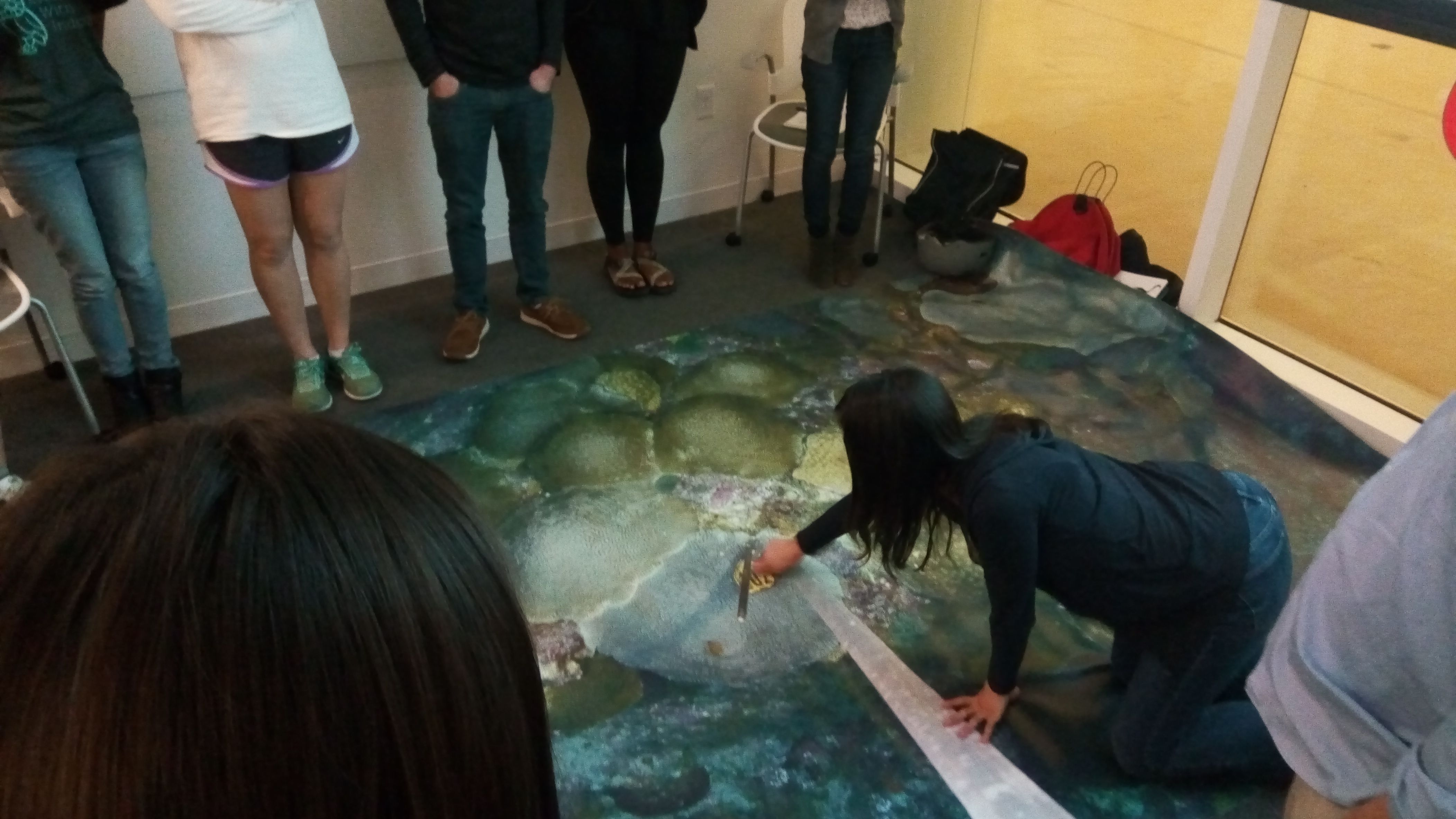 Adrienne shows how to measure coral