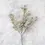 Thumbnail: Abigail Ahern Mimosa Blush Stem