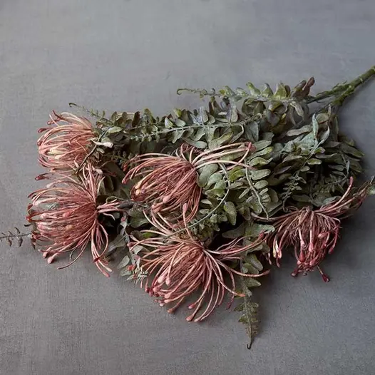 Abigail Ahern Leucospermum Bush Stem -